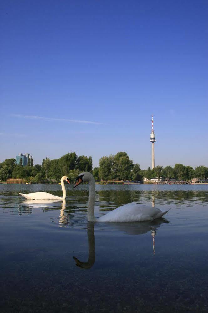 Ajo Apartments - Alte Donau Terrace Studio - Self-Check-In เวียนนา ภายนอก รูปภาพ